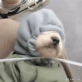 糖葫芦，甜！