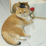 爱吃火锅