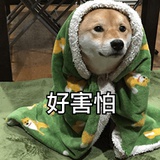 大鼻嘎
