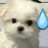 不是豆友548431