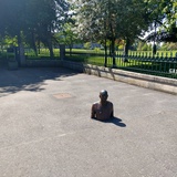 锦鲤帮帮我