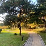 碎月