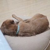 徐汇摸鱼小能手