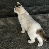 今天天晴