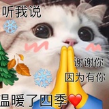 氯离子静息电位