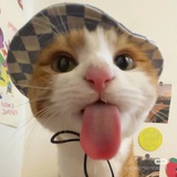 青樨.