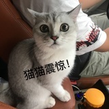 天然呆小窝