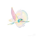 晃来幻去