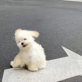 送我上青云