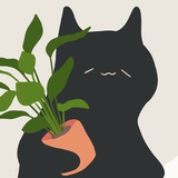 UN CHAT NOIR