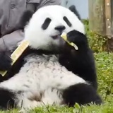 天街小雨润如酥