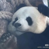 哈哈