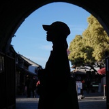 江枫渔火对愁眠