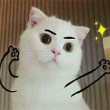 亲亲肠。