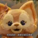 衝浪枸杞