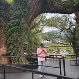 不吃芹菜和萝卜