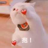 社畜不配