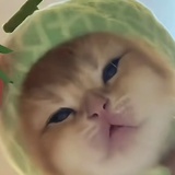 宫脇詩音
