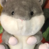 江驰客