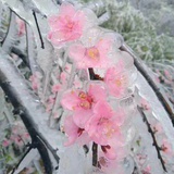 常记溪亭日暮