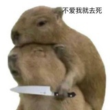 舟泉