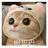 秋意浓