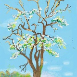 江江骗子