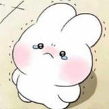 月兔