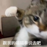 跳跳🍬