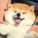 依然没事做