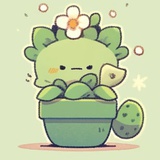 仙人掌cactus