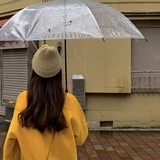 瑶光
