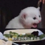 糙米