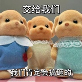 起什么名字啊