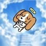你马个二逼流子