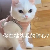 白菜帮子