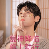 没有人不爱狗狗