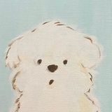 阿连连连连_