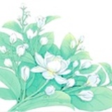 百里好物