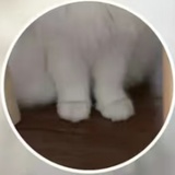 。。。