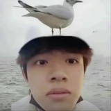 尊嘟假嘟