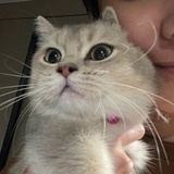 姜
