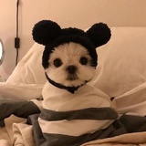 一口软糖