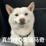 美丽小天使公主