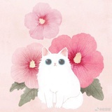 猫喵喵