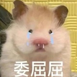 🐾