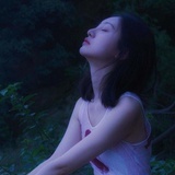 迪