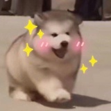 小狗剩