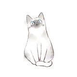 木木