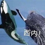 可可西米